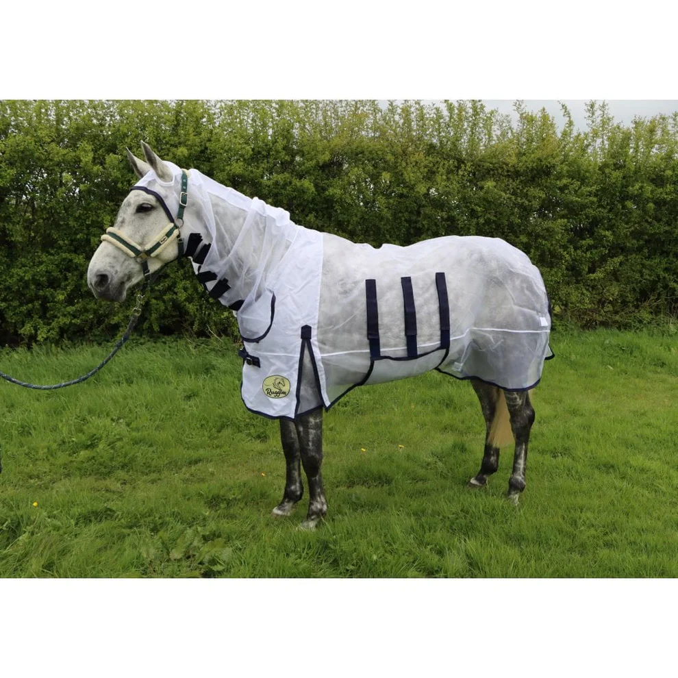Horse / Pony Clearance